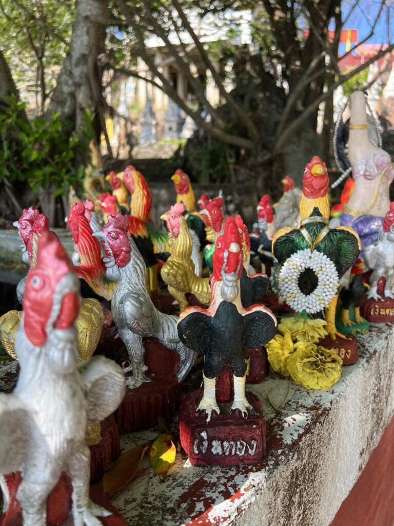 A shrine of roosters at a temple in Koh Samui