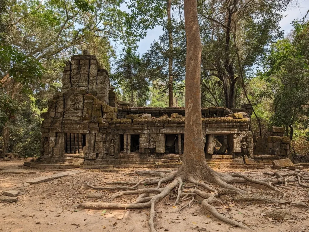 A tree inside one of the temples of Angkor Wat.