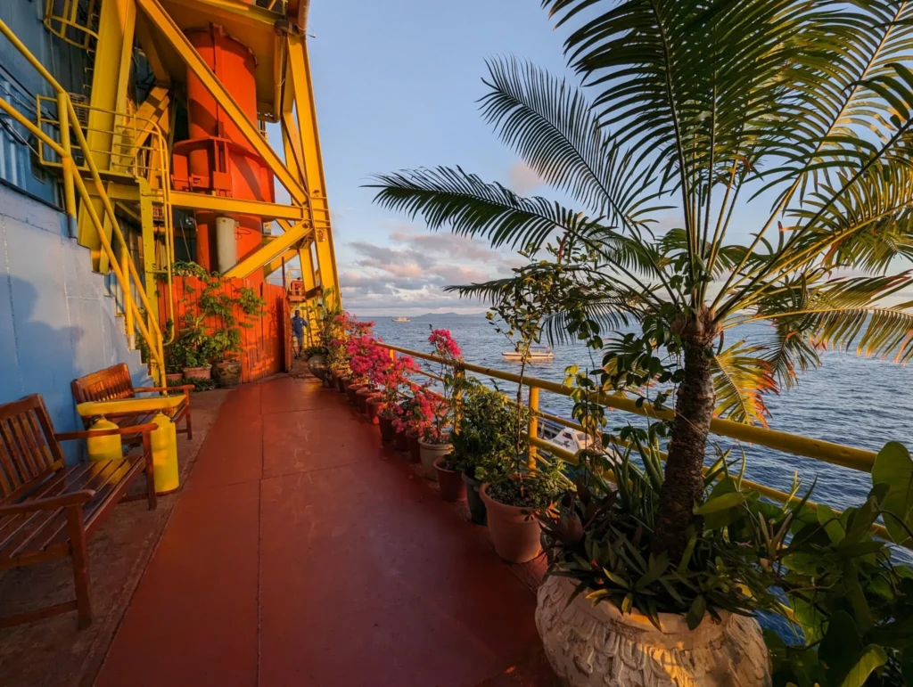 Sunrise on the Seaventures Dive Rig with a view of the trees and flowers on the main deck.